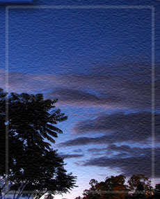 Home Page Image